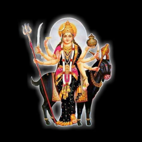 Maa melody Masani Meldi Maa Hd Wallpaper, Maa Meldi, Meldi Maa, Jay Mataji, Meldi Ma Hd Photo, Durga Kali, Mother Kali, Lion Photography, Aadi Shakti