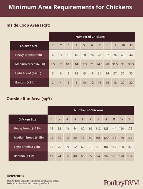 #infographic on minimum space requirements for #chickens Chicken Space Requirements, Chicken Coop Space Requirements, Chicken Supplies, Hobby Farming, Farm Ideas, Hen House, Chicken Coops, Hobby Farms, Backyard Birds