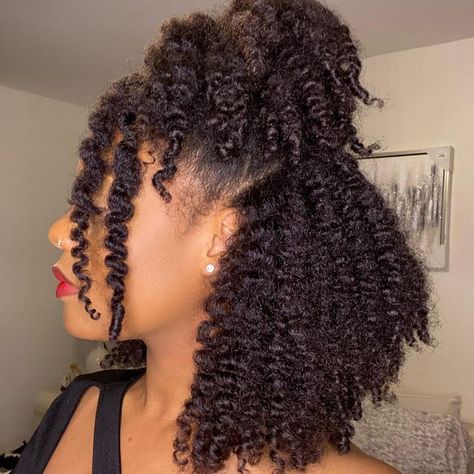 MEGAN LYNN 🤎 on Instagram: "Just a little #afroappreciation post, because I’m missing my curls just a lil bit🤒 This is a half up half down twist out I did a couple of weeks ago, and I love the way the whole style came out but its really the ends for me😍 In my opinion, frizzy and undefined ends can really make or break a natural hairstyle, so I find that finger coiling the ends of my twists/braids really bump my styles up a notch." Pelo Afro, Natural Curls Hairstyles, 4c Hair, Natural Hair Styles Easy, Twist Out, Natural Hair Inspiration, Hair Crush, Half Up Hair, Free Hair