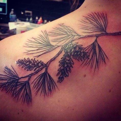 Pine tree branch tattoo!                                                                                                                                                                                 More Pine Tree Tattoo Back, Pinecone Tattoo, Cone Tattoo, Pine Tattoo, Tattoo Mountain, Tree Branch Tattoo, Pine Tree Branch, Tree Tattoo Back, Uv Painting