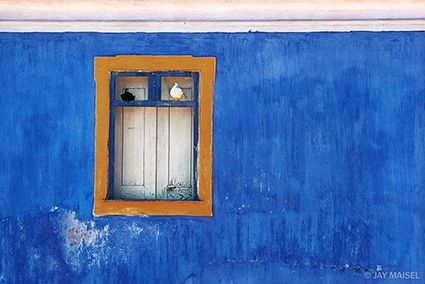 Jay Maisel, Print Portfolio, Printed Portfolio, Become A Photographer, Kind Of Blue, Social Art, Art Institute Of Chicago, Blue Walls, Color Photography