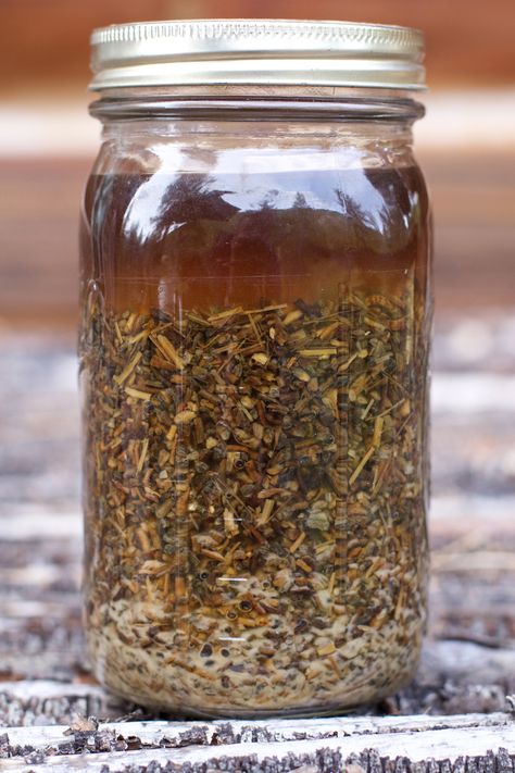 Cloudy Tincture: What's That White Stuff in My Jar? – LearningHerbs Cilantro Tincture Recipe, Tincture Recipes, Medicinal Herbs Remedies, Learning Herbs, Tinctures Recipes, Diy Shampoo, Plant Medicine, Skin Natural Remedies, Cold Sores Remedies