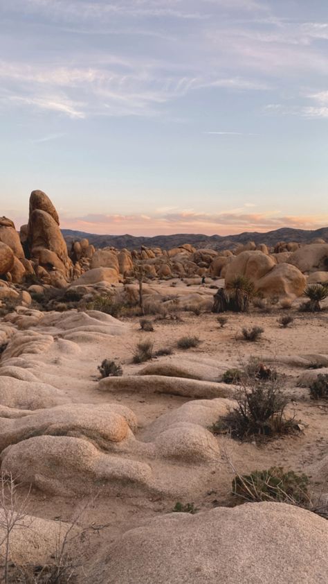 roadtrip in 2022 ☀️ Aesthetic Desert Pictures, Out West Aesthetic, Joshua Tree Aesthetic, Arizona Aesthetic, Desert Aesthetic, Usa Roadtrip, Desert Photography, Art Photography Portrait, Desert Dream