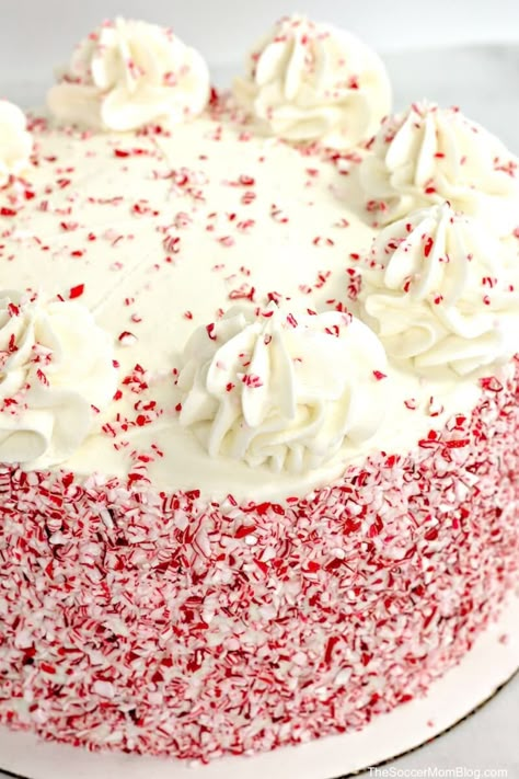 Peppermint Cake Decoration, Chocolate Candy Cane Cake, Candy Cane Frosting, Peppermint Cream Cheese Frosting, Peppermint Frosting Recipe, Candy Cane Christmas Cake, Candy Cane Cake Ideas, Pepermint Cake, White Chocolate Peppermint Cake