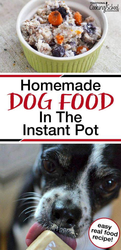 We had a flea-infested, overweight, balding dog with halitosis... great. With our vet's support, we switched to home made dog food, and we've seen radical results! Here's my best, easy and healthy recipe for homemade dog food with a grain-free adaptation for dogs with allergies or weight issues.. And forget the crockpot, use the Instant Pot and save time! #pressurecooking #instantpot #recipes #DIY #healthy #dogfood #tradcookschool Dogs With Allergies, Diy Dog Food, Make Dog Food, Food Dog, Healthy Dog Food Recipes, Dog Allergies, Dog Treat Recipes, Healthy Dog Treats, Diy Dog