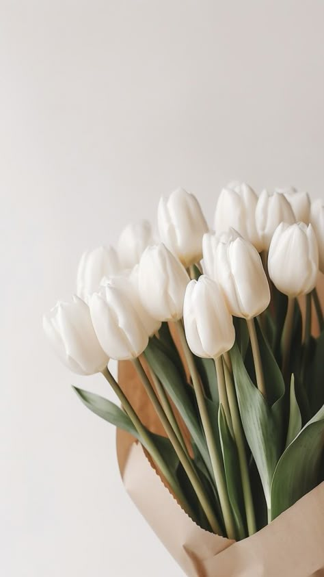 Flower Screensaver, Flor Iphone Wallpaper, Flower Background Iphone, Vintage Flowers Wallpaper, Simple Phone Wallpapers, Flower Iphone Wallpaper, Nothing But Flowers, White Tulips, Minimalist Wallpaper