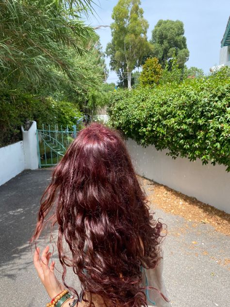 Naturally Wavy Hair Color Ideas, Strawberry Red Highlights In Brown Hair, Hair Color Ideas Wavy Hair, Dark Red Hair Aesthetic Curly, Cherry Red On Curly Hair, Red Tinted Brown Hair Curly, Red Cherry Hair Curly, Deep Cherry Red Hair Curly, Dark Cherry Hair Curly