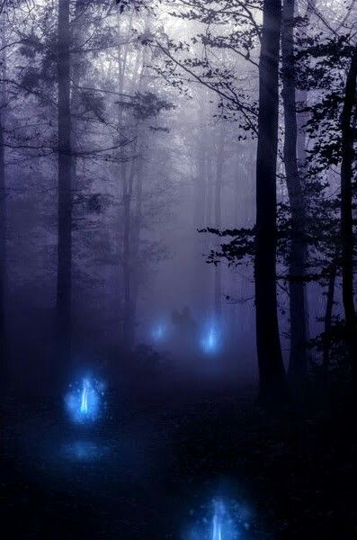 Will O The Wisp, Fantasy Forest, Fantasy Aesthetic, Magical Forest, Fantasy Inspiration, Story Inspiration, Dark Forest, Enchanted Forest, Fantasy Landscape