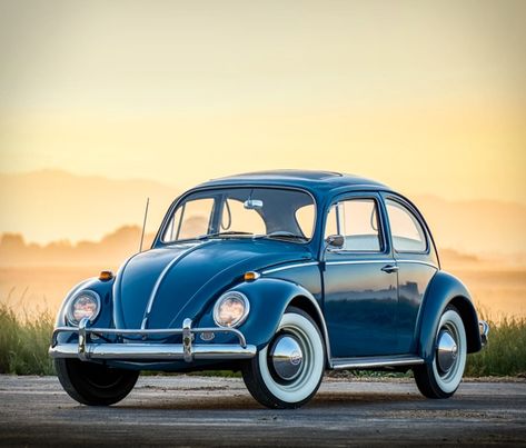 1965 Vw Beetle, Car Beetle, Volkswagen Beetle Vintage, Motor Klasik, Classic Volkswagen, Triumph Scrambler, Beetle Car, Vw Beetle Classic, Vintage Volkswagen