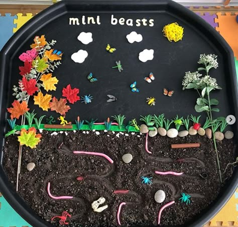 Sensory Tuff Tray Ideas, Tuff Tray Ideas For Toddlers, Minibeast Display, Minibeasts Eyfs, Minibeasts Activities, Tuff Tray Ideas Toddlers, Tuff Tray Ideas, Mini Beasts, Tuff Spot