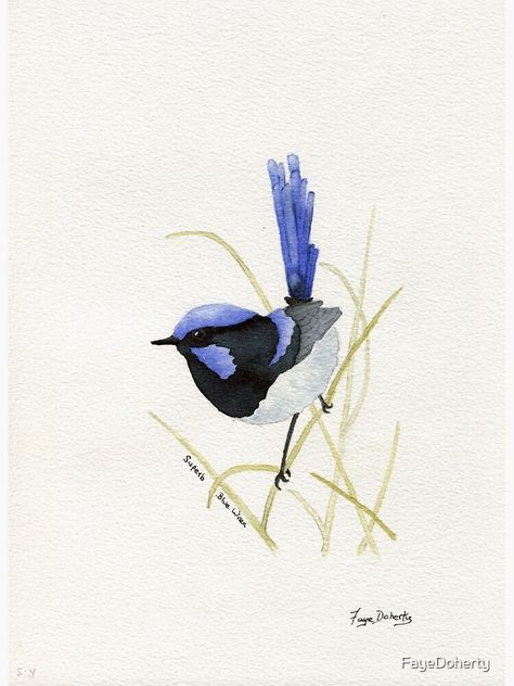 "Superb Blue Wren" Canvas Print for Sale by FayeDoherty | Redbubble Wren Painting, Blue Wren, Bird Watercolor Paintings, Arches Watercolor Paper, Flower Art Drawing, Watercolour Paper, Watercolor Bird, Painting Photos, Featured Art