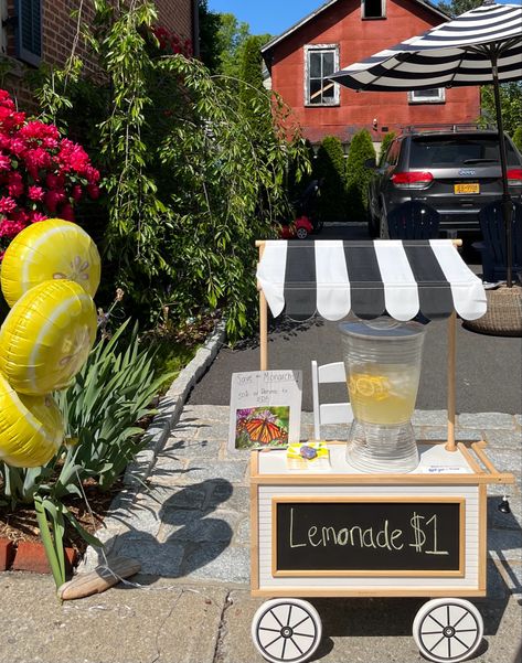 Lemonade Stand Aesthetic, Diy Lemonade Stand, Diy Lemonade, Mermaid Tales, Mermaid Tale, Lemonade Stand, Summer 24, Cute Aesthetic, Street Signs