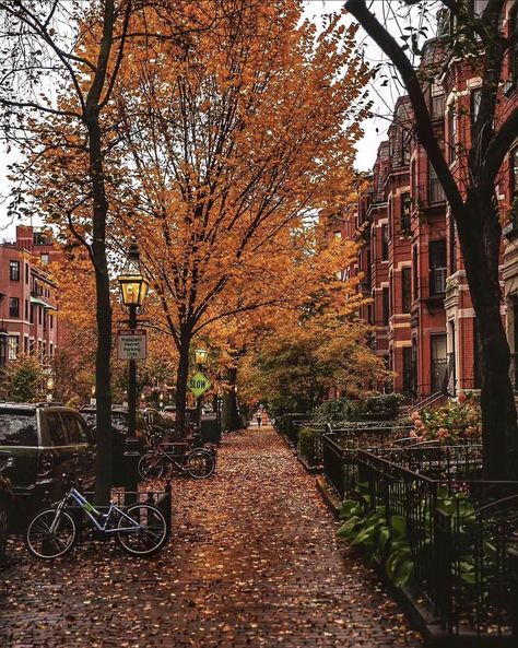 Fall Aesthetic Boston, Boston In The Fall Aesthetic, Connecticut Fall Foliage, Boston Autumn Aesthetic, Fall Aesthetic Nyc, Boston Aesthetic Fall, Small Town Fall Aesthetic, Boston Fall Aesthetic, New England Fall Aesthetic