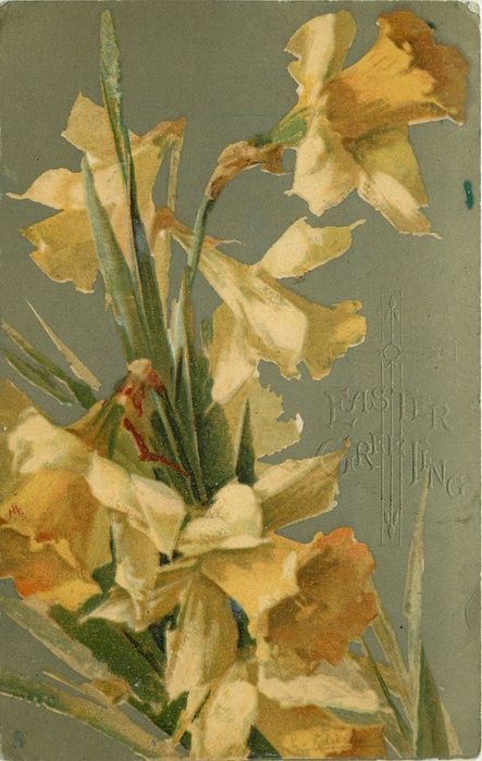 DAFFODILS six flowers - TuckDB | Flower painting, Daffodils, Still life flowers Catherine Klein, Yellow Daffodils, Daffodil Flower, China Painting, Beatrix Potter, Pin Board, Floral Illustrations, Botanical Art, Botanical Prints