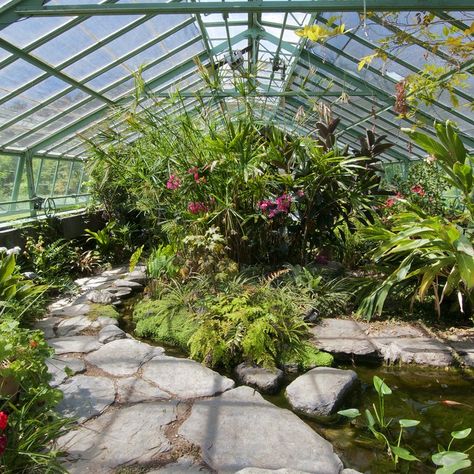 Tropical Greenhouses, Glass Houses, Large Greenhouse, Indoor Greenhouse, Greenhouse Interiors, Greenhouse Plans, Fantasy Homes, Garden Greenhouse, Luxury Estate