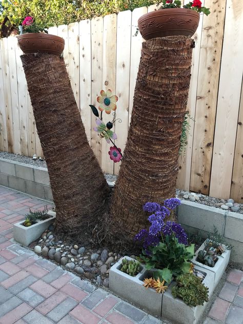 Palm tree trunk doubles as backyard decor. Palm Tree Trunk, Backyard Decor, Backyard Ideas, Palm Tree, Palm Trees, Trunk, Tree Trunk, Plants, Back Garden Ideas