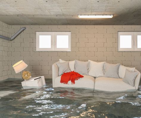 5 Ways to Organize Your Basement to Prevent Flood Damage Flood Prevention, Basement Organization, Flooded Basement, Flood Damage, Mold Remediation, Ways To Organize, Fire Damage, Mold Growth, Protecting Your Home