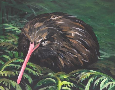 Kiwi Kiwi Bird Wallpaper, Kiwi The Bird, Kiwi Bird Painting, Kiwi Bird Art, Kiwi Bird Photography, Kiwi Bird Tattoo New Zealand, Tui Bird, Kiwi Bird, Artist Models