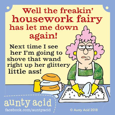 Housework Humor, Cranky Quotes, Cleaning Fairy, Aunt Acid, Auntie Quotes, Funny Women Quotes, Senior Humor, Family Circus, Fairy Pictures