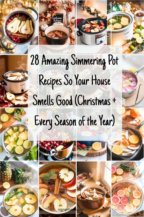 I’m obsessed with my house smelling amazing, especially when guests come over. If you’re always on the hunt for how to make your house smell good without spending a ton on candles or sprays, simmering pot recipes are where it’s at. Just grab a few simple ingredients from your kitchen, toss them in some water […] Simmering Pot Recipes, Make Your House Smell Good, Simmering Pot, Simmer Pot Recipes, Simmering Potpourri, Potpourri Recipes, Smelling Good, Simmer Pot, Sliced Pears