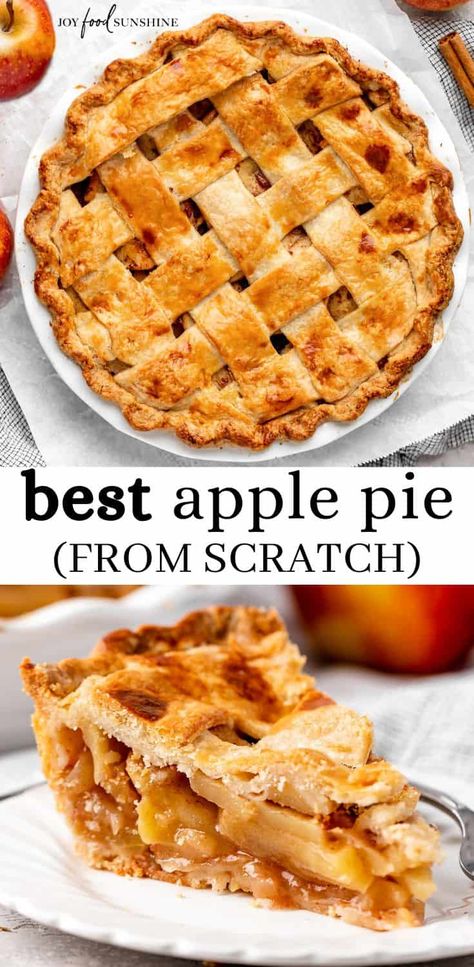 This is truly the best Homemade Apple Pie recipe ever! Its flaky, buttery crust is made from scratch, & the apple pie filling isn't overly sweet, letting the flavor of the apples really shine. Plus this apple pie is easy to make with a handful of simple ingredients. Best Apple Pie Recipe, Skillet Apple Pie, Old Fashioned Apple Pie, Apple Pie From Scratch, The Best Apple Pie, Fruit Dips, Apple Pie Recipe Homemade, Perfect Apple Pie, Apple Pie Recipe Easy