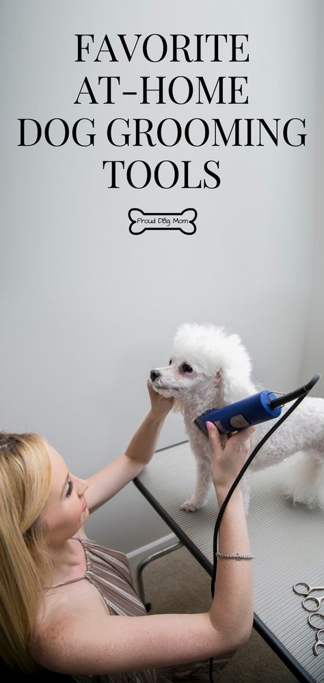 Dog Grooming Diy, Grooming Hacks, Dog Grooming Tools, Dog Grooming Scissors, Dog Grooming Clippers, Dog Grooming Shop, Puppy Grooming, Dog Grooming Tips, Poodle Grooming