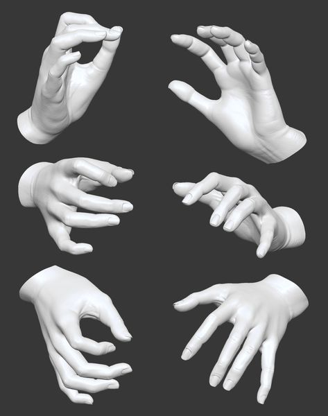 Hand Turnaround, Hands Poses Reference, Zeen Chin, Hand Anatomy, Hands Icon, Anatomy Models, Hand Drawing Reference, Hand Gesture, Blood Art