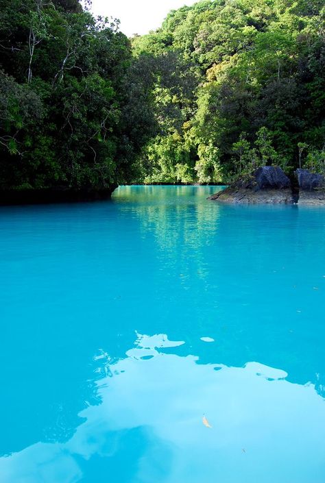 Turquoise Sea, Koror Island, Palau #kororisland #island #koror #palau #oceania #travel #travelphotography Pool Resort, Earth Pictures, Oceania Travel, Island Paradise, Beach Tropical, Blue Island, Palau, Vanuatu, Pretty Places