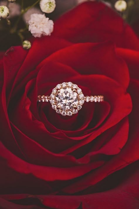 Image 14 of Gina and Coby Big Wedding Rings, Ring Photography, Engagement Ring Photos, Beautiful Diamond Rings, Engagement Rings Affordable, Wedding Rings Halo, Rings Ideas, Best Engagement Rings, Stunning Engagement Ring