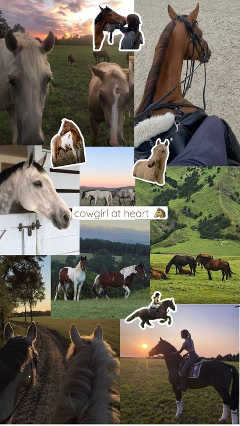 Horse collage Out Of Your Mind, Star Stable, Horseback Riding, Aesthetic Wallpapers, Horses, Horse Riding