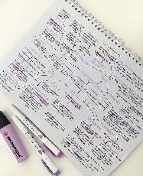 The use of Purples Struktur Teks, Studie Hacks, خريطة ذهنية, Studera Motivation, College Notes, Bullet Journal Notes, My Notes, School Organization Notes, Study Board