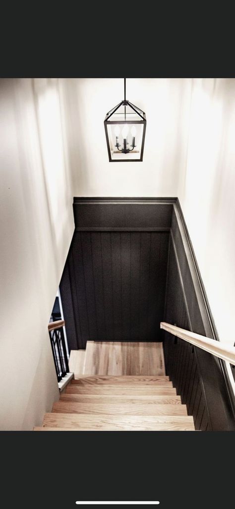 #basementceiling #basementrenovation #basementideas #basementmancaveideas Basement Stairway, Basement Steps, Basement Decoration, Stairs Renovation, Dream Basement, Basement Remodel Diy, Stairs Makeover, Basement Living Rooms, Basement House