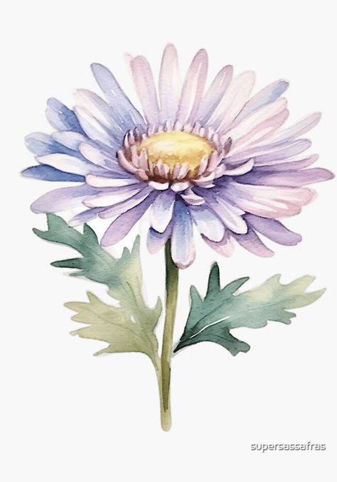 A watercolor design for an aster flower Aster Flower Sketch, Aster Flower Drawing, Aster Watercolor, Aster Flowers, Watercolor Aster Flower, Aster Illustration, Aster Flower Illustration, Aster Watercolor Paintings, Aster Flower Tattoo