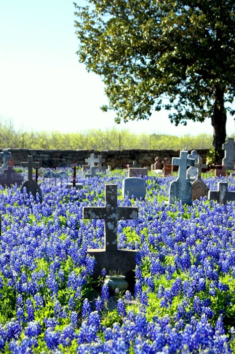 Cemetery Graveyard Photography, Cemetery Statues, Cemetery Headstones, Old Cemeteries, Cemetery Art, Momento Mori, Peaceful Places, Six Feet Under, Grave Marker