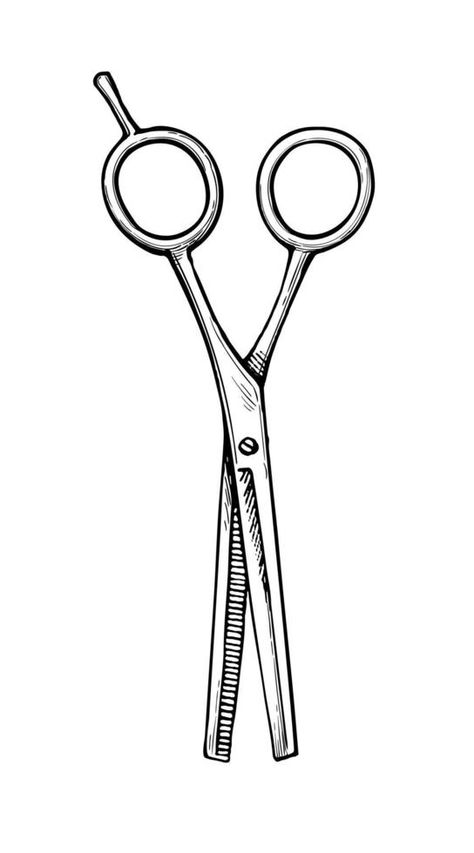 Hairdressing scissors. Ink sketch isolated on white background. Hand drawn vector illustration. Vintage style stroke drawing. Hairdressing Scissors, Hand Drawn Vector Illustrations, Drawing Drawing, Illustration Vintage, Ink Sketch, Hand Drawn Vector, White Background, Vintage Style, Hand Drawn