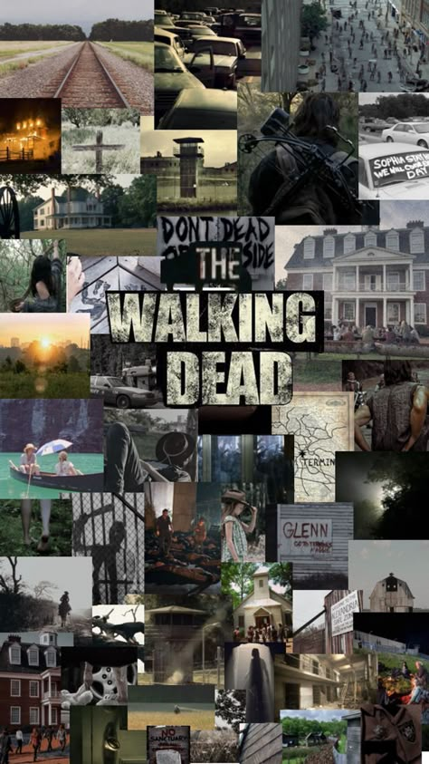 The Walking Dead Collage Walking Dead, The Walking Dead, Walking, Songs, Collage