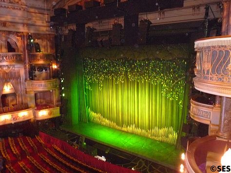 Theatre Royal Drury Lane, Shrek The Musical, Drury Lane, Theatre Interior, Shrek, Theater, Broadway Shows, Photo Sharing, Musical