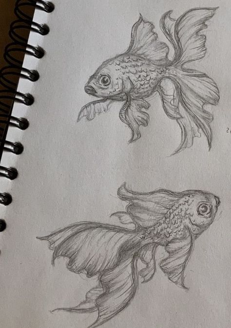 Surreal Sketch Pencil Drawings, Underwater Animals Drawing, Full Page Drawings, Sea Animals Drawing, Summer Sketches, Fish Sketch, Fish Drawing, Arte Inspo, Doodle Art Designs