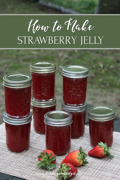 Strawberry Jelly Recipe Canning, Canning Jelly Recipes, Strawberry Jelly Recipes, Strawberry Cider, Honeysuckle Jelly, Jelly Gift, Canning Jam Recipes, Watermelon Jelly, Canned Strawberries