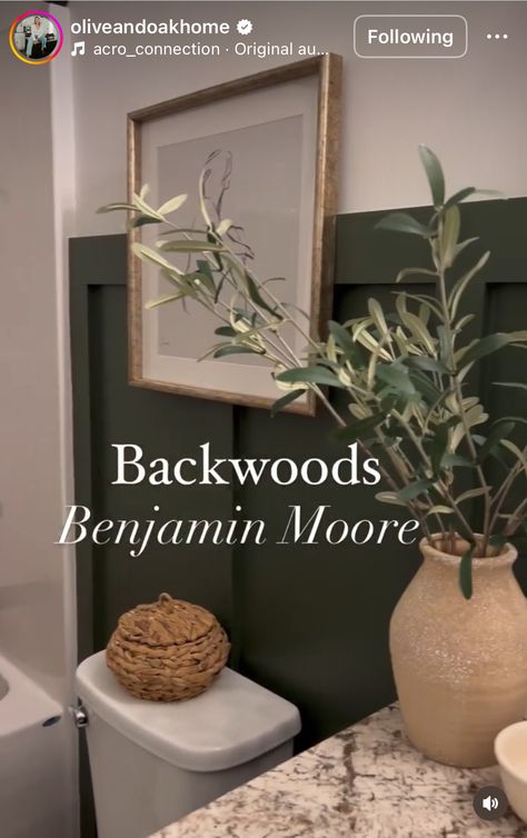 Moody Earthy Home, Moody Paint Palette, Backwoods Benjamin Moore, Open Concept Paint Schemes, Half Bath Paint Colors, Olive Green Bathrooms, Moody Paint, Dark Green Bathrooms, Paint Color Inspiration