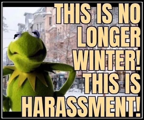 Sick Humor Cold, Brrrrr Quotes Its Cold, So Cold Humor, Its Cold Outside Funny, Sick Humor, Weekday Quotes, Winter Quotes, Its Cold, Can't Stop Laughing