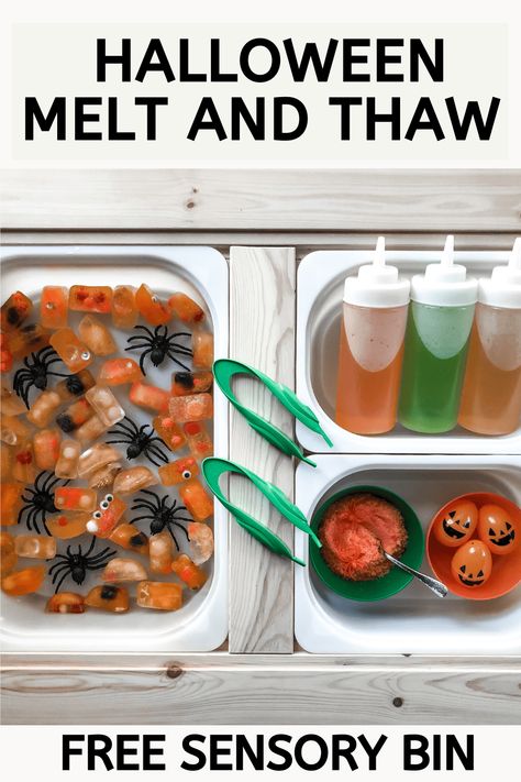 The Best Halloween Sensory Bin for Toddlers – LOW LIFT FUN Halloween Activities For Babies, Halloween Sensory Bin, Sensory Bin For Toddlers, Fall Activities For Kids, Halloween Activities For Toddlers, Fall Sensory Bin, Fall Sensory, Toddler Sensory Bins, Halloween Sensory