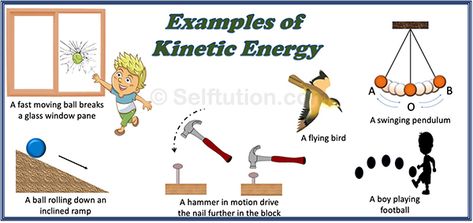 Difference between Potential and Kinetic Energy | Examples » Selftution Kinetic Energy Examples, Potential And Kinetic Energy, Work Energy And Power, Gravitational Potential Energy, Kinetic And Potential Energy, Energy Pictures, Science Anchor Charts, Science Labs, Energy Transformations