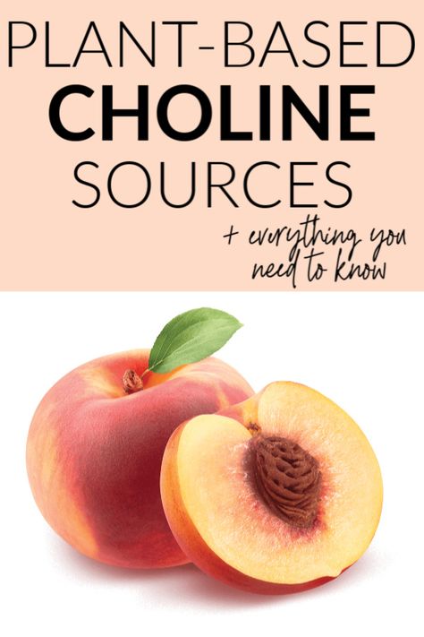 choline Hi Fiber Foods, Choline Foods, Vegetarian Pregnancy, Fibre Foods, Nutrition For Kids, Fit Family, Healthy Plant Based Recipes, Improve Fertility, Pregnancy Diet