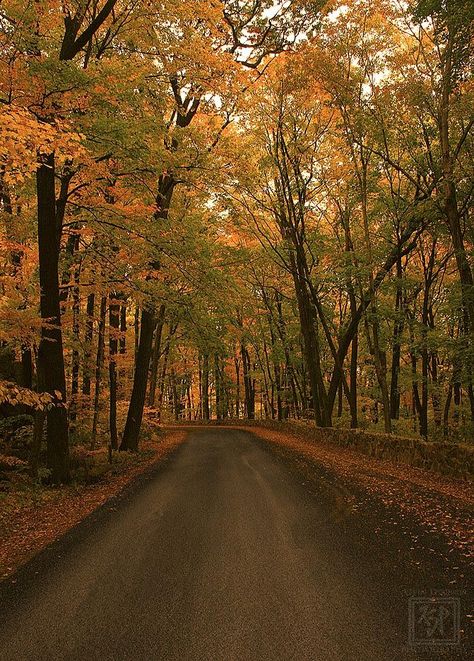 Baraboo Wisconsin, Panoramic Photography, Wisconsin, Fall Colors, Entrance, Landscape Photography, State Parks, Country Roads, Lake