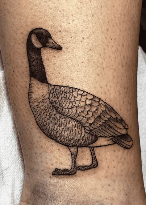 Goose Tattoo Design Images (Goose Ink Design Ideas) Canada Goose Tattoo, Canadian Goose Tattoo, Goose Tattoo, Tattoo 2023, Duck Tattoos, Flash Sheets, Duck Drawing, Ink Inspiration, Tattoo Design Ideas