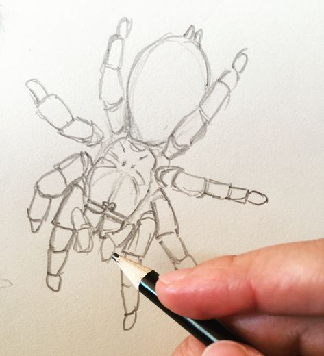 Human Spider Drawing, Tarantula Drawing Easy, Beatle Insect Sketch, Tarantula Drawings, Spider Anatomy Drawing, How To Draw Creatures, Cool Bug Drawings, Tarantula Painting, Bugs Drawing Sketches