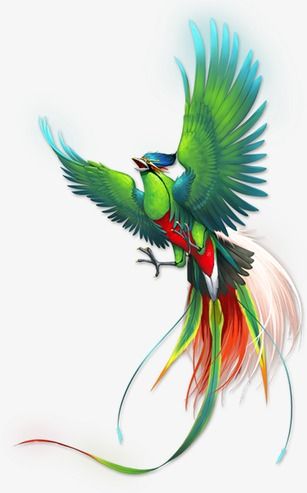 Quetzal Art, Phoenix Artwork, Phoenix Images, Bird Painting Acrylic, Frida Art, Parrots Art, Phoenix Art, Dreamy Artwork, Eagle Art