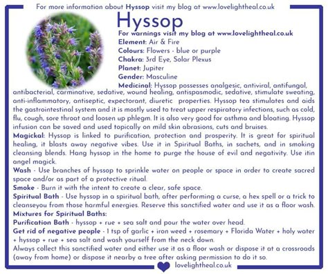 A small description about the healing and magickal properties of Hyssop. Visit www.lovelightheal.co.uk/blog to read the full description. Hyssop Benefits Spiritual, Hyssop Witchcraft, Motherwort Magical Properties, Hyssop Benefits, Blue Lotus Magical Properties, Hoodoo Herbs And Roots, Hyssop Magical Properties, Blue Cornflower Magical Properties, Herbs For Protection