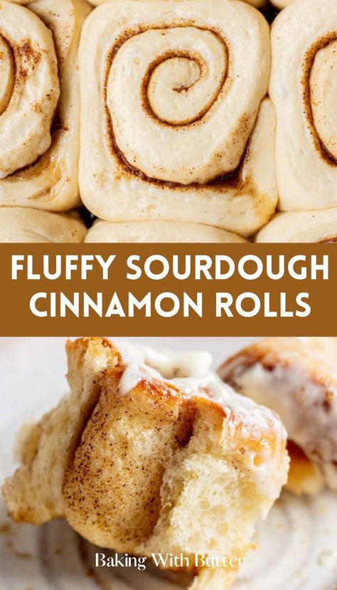 Deliciously Soft Sourdough Cinnamon Rolls, a must-try for a luxurious and tangy dessert. Breads Recipes, Mouthwatering Desserts, Recipe Using Sourdough Starter, Cinnamon Bun Recipe, Sourdough Cinnamon Rolls, Chicory Recipe, Cheesecake Oreo, Sourdough Starter Discard Recipe, Fantastic Recipes